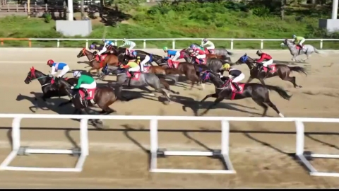 [주간 경마] '이것이 추입이다'...보령라이트퀸, 우승