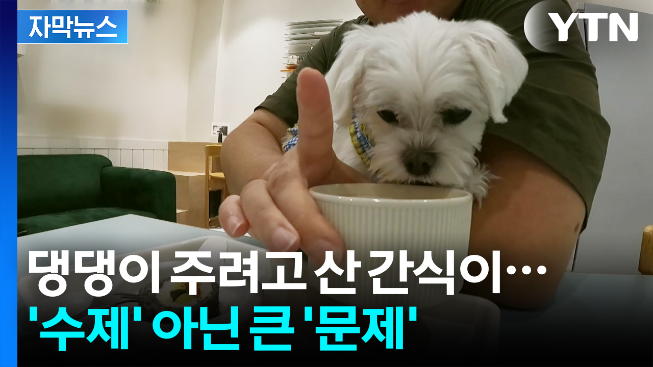 [자막뉴스] "신고 없이 파셨다는 거잖아요?"...반려동물 수제간식, 알고 보니