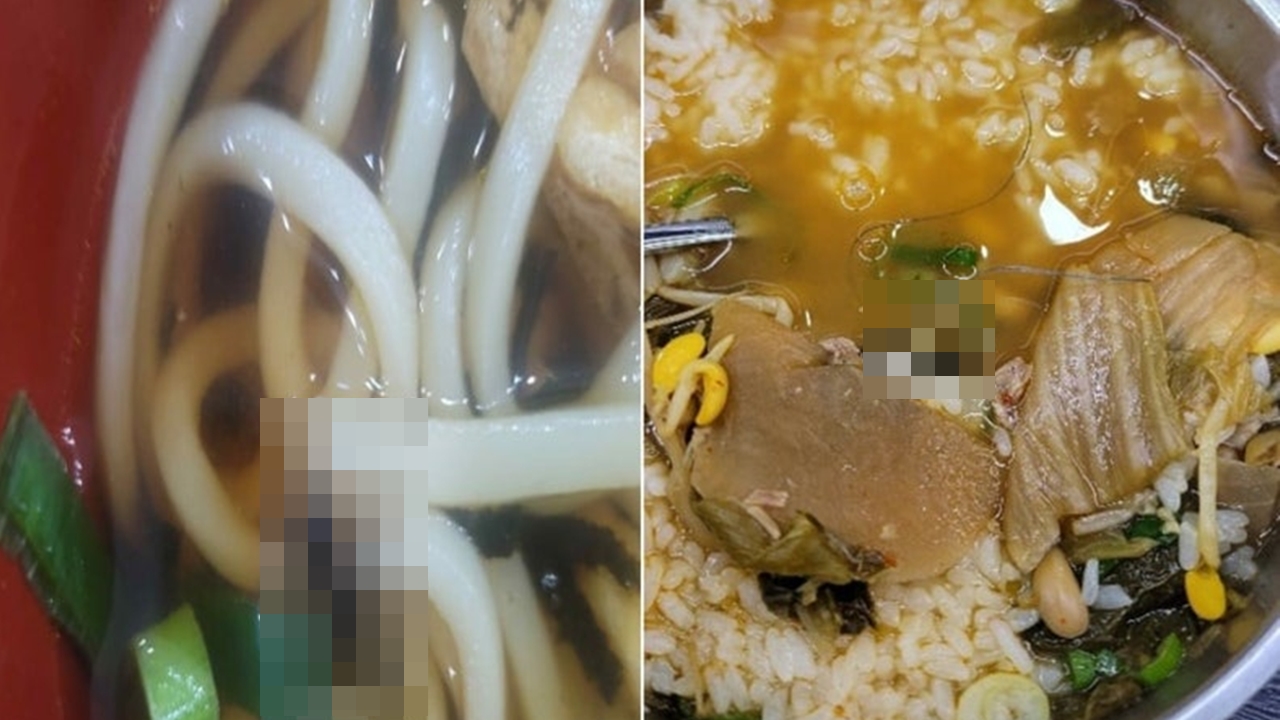 휴게소 위생 왜 이러나...우동엔 귀뚜라미, 국밥엔 노끈 '둥둥'