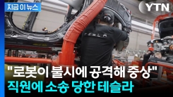 테슬라 직원 "로봇 공격에 거대한 충격 입고 쓰러져"...결국 소송전 [지금이뉴스]