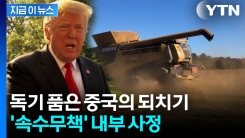 속절 없이 당하는 미국...트럼프 핵심 지지자 \'곡소리\' [지금이뉴스] 