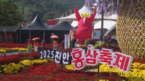 건강과 즐거움 한가득…진안 홍삼축제 열기