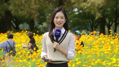 [날씨] 9월 마지막 주말, 맑고 늦더위…가을꽃 \'활짝\'