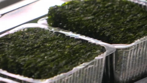 검은 반도체 \'K-전남 김\'…전남 농수산물 수출 효자 우뚝!