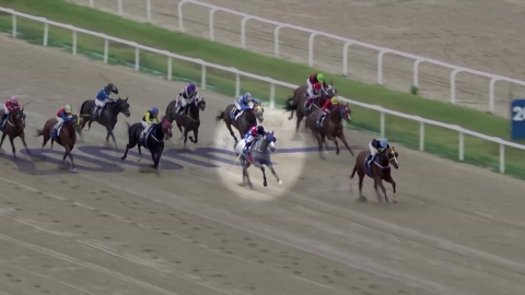 [주간 경마] 지구라트,  지구력 앞세워 막판 역전 우승