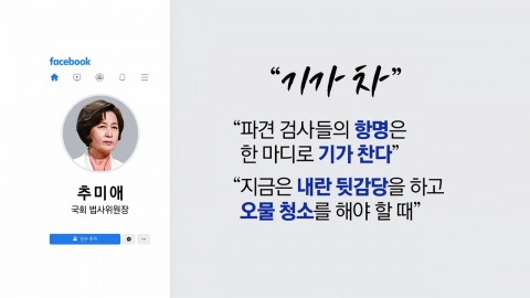 "검사들의 항명, 기가 차"‥"민주당의 윽박" [앵커리포트]