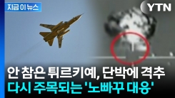 \'영공 침범\' 러 전투기 즉각 격추된 영상...나토 회원국의 심상찮은 글 [지금이뉴스] 