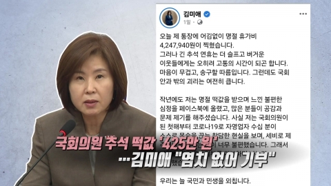 국회의원 추석 떡값 425만 원…김미애는 \'기부\' [앵커리포트]