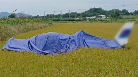 화성에서 경비행기 논으로 추락…벤츠 전기차 등 3대 불타