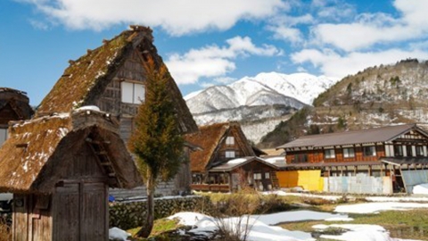 일본 세계문화유산 관광지 곰 습격...스페인 관광객 다쳐
