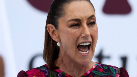 '지지율 70%' 멕시코 대통령 "미국 등 상대로 유리한 교역 합의 자신"