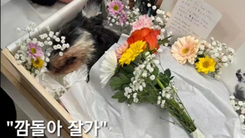 [리브투게더-숏] '악역 전문 배우' 이호철의 숨죽인 울음