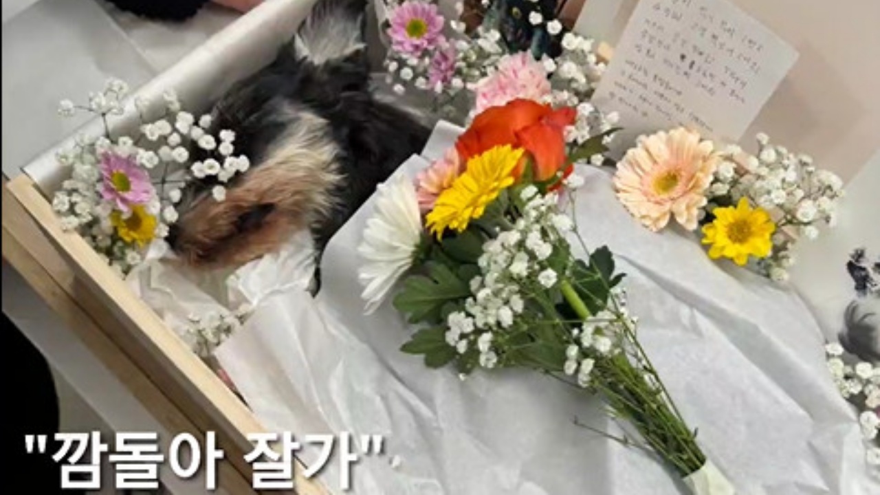 [리브투게더-숏] '악역 전문 배우' 이호철의 숨죽인 울음