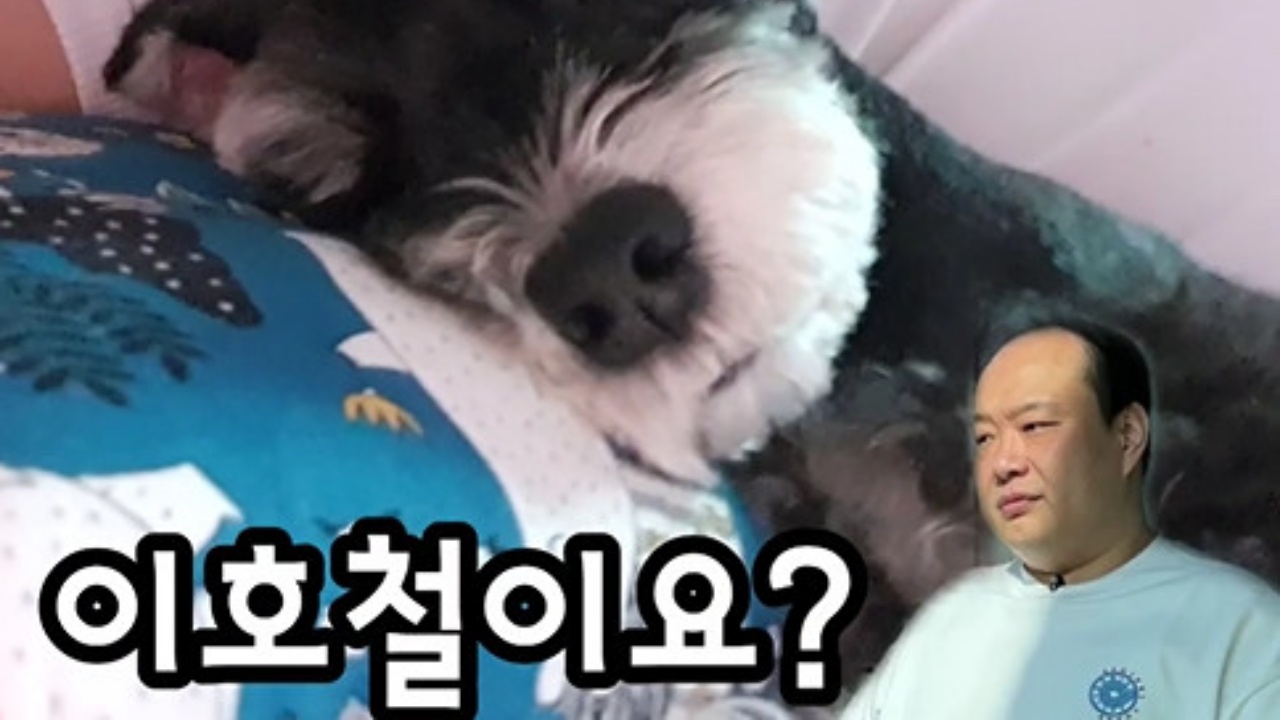 [리브투게더-숏] 이호철 "날 성장시킨 반려견 깜돌이"