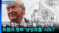 펄럭이는 성조기 뒤 "싸워라"...불법 논란에도 새겨진 트럼프 얼굴 [지금이뉴스]
