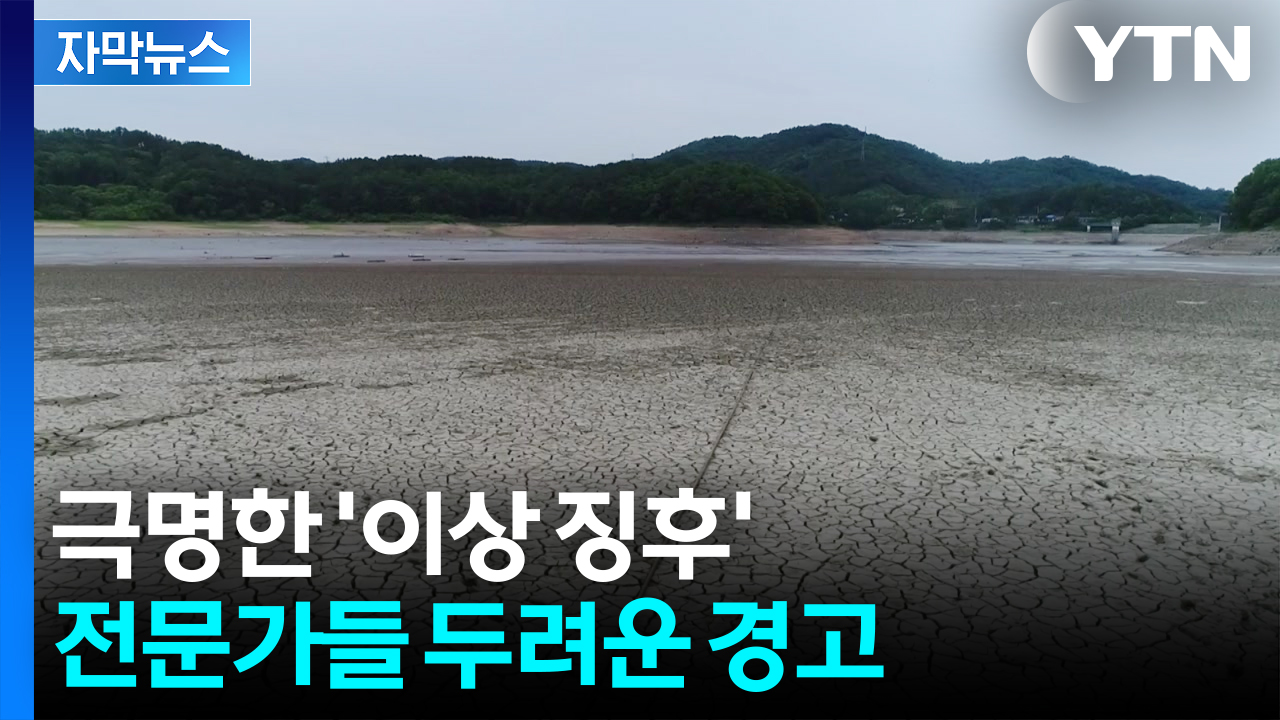 [자막뉴스] 며칠 만에 피 마르는 현상...새로운 재난의 공포