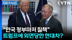 너무 앞서간 현대차? 트럼프 \'열혈 구애\'의 참담한 결말 [지금이뉴스]