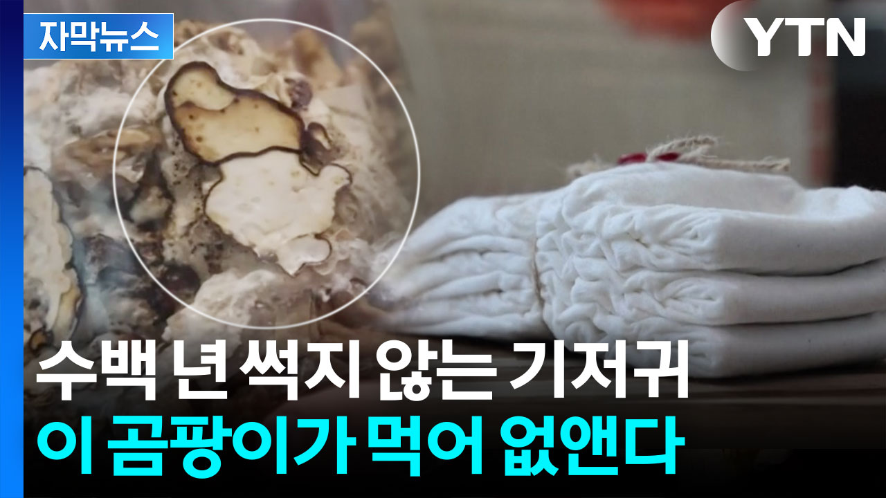 [자막뉴스] 70년째 썩지 않은 기저귀...세기의 곰팡이가 먹기 시작했다