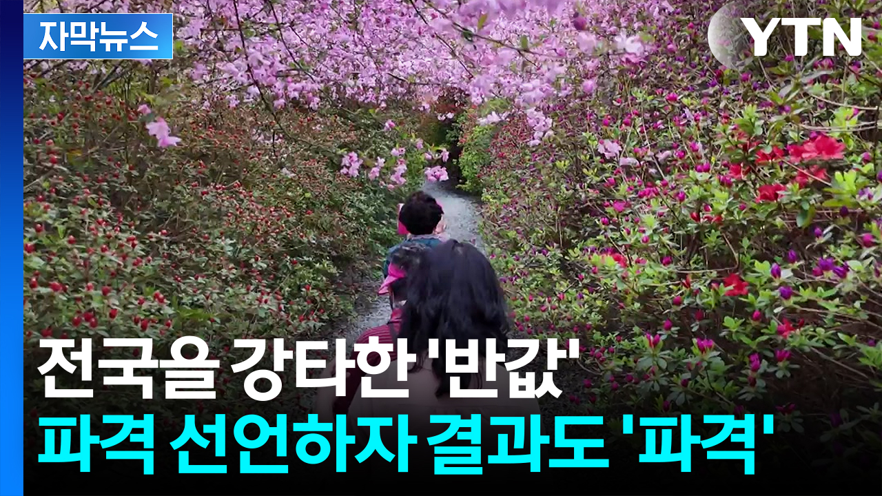 [자막뉴스] 대통령도 주목한 행정...인기 폭발한 '파격 반값'