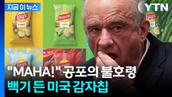 "연말까지 퇴출할 것"...MAHA 압박에 美 대표 감자칩, 결국 [지금이뉴스] 