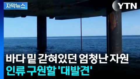 [자막뉴스] '무려 320km' 웅장한 규모... 바다 밑 발견된 자원의 정체