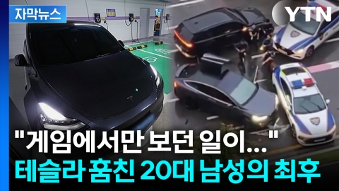 [자막뉴스] '인생 하드모드' 자처한 20대... 테슬라 훔쳤다가 결국
