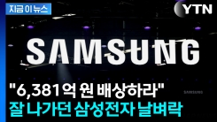 "삼성전자, 6천억 원대 배상해야"...美 법원서 특허 침해 유죄 [굿모닝경제] 