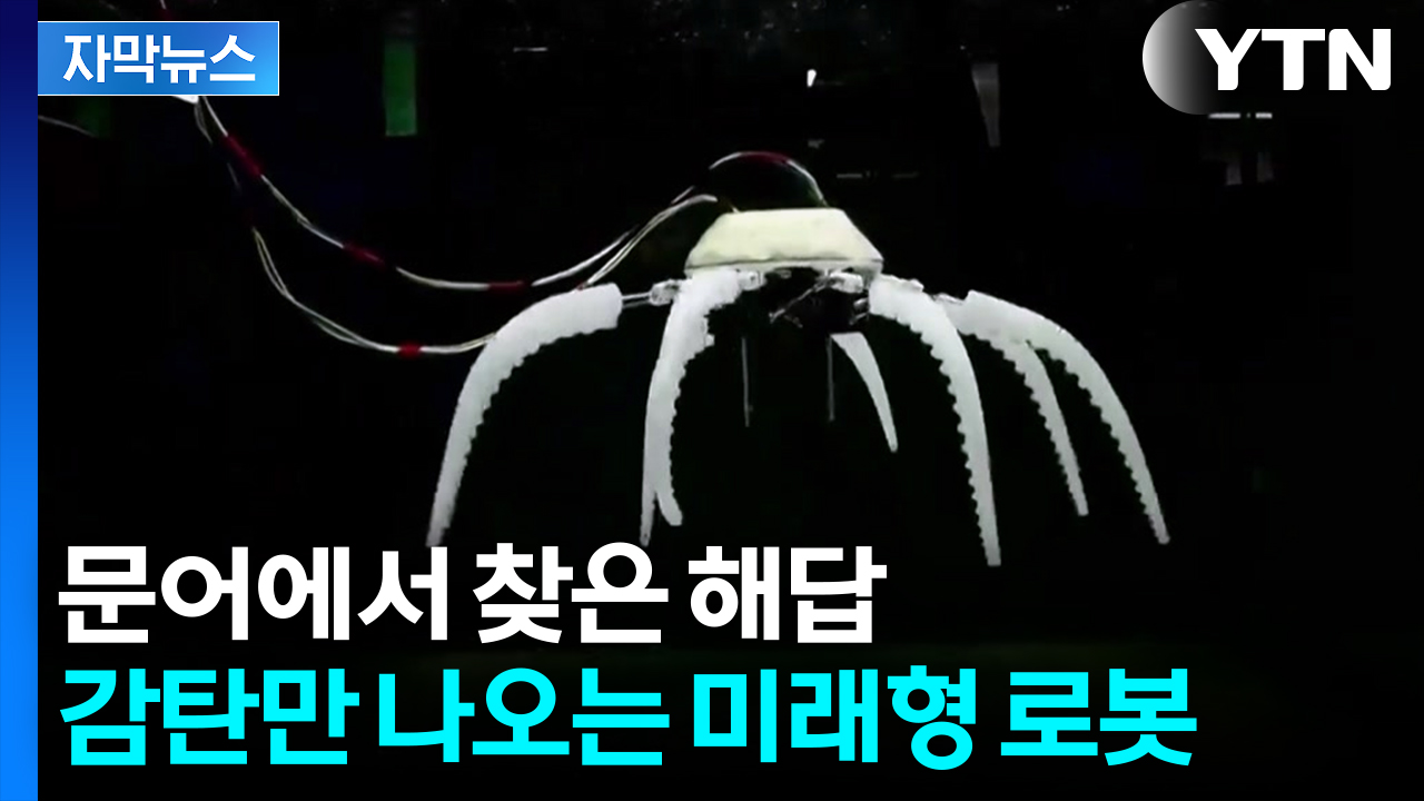 [자막뉴스] "3억 개 넘는 뉴런"...흡입 지능 가진 로봇 '자유자재'