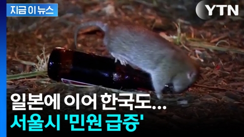 서울시 민원 \'확 늘어\'… 강남·마포·관악 집중 [지금이뉴스]