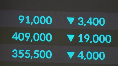 코스피 3,600 아래로 하락…환율 1,430원 돌파