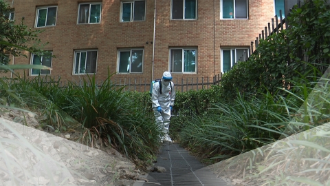 올해 첫 일본뇌염 환자 발생..."매개모기 10월까지 활동"