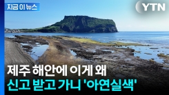 한자로 茶(차) 글자가...제주 해안가 포대 열어보니 \'경악\' [지금이뉴스] 