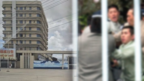 캄보디아는 빙산의 일각?..."삼합회·야쿠자도 연루돼 수법 잔인" [Y녹취록]