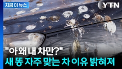 새 똥도 브랜드 봐가며 싼다? \'이 차량\' 운전자 주의 [지금이뉴스]