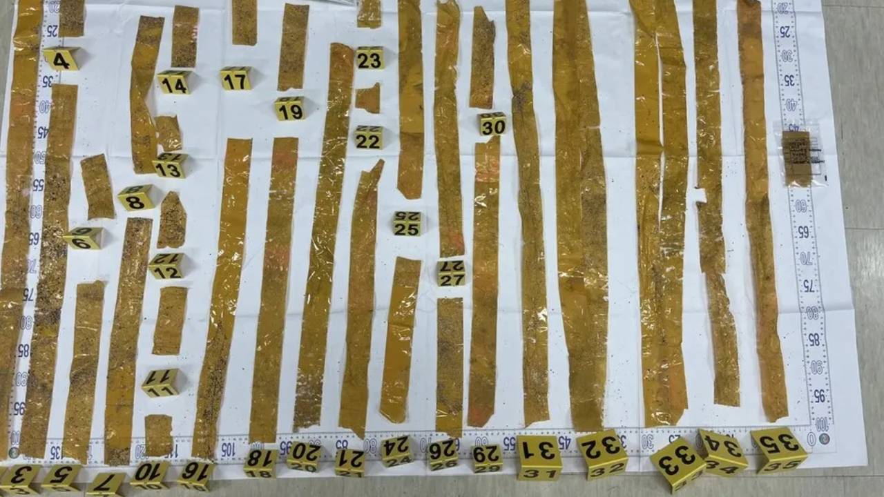 제주 해변 자루에서 66만 명분 마약 발견...시가 60억 어치