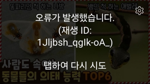 유튜브 \'먹통\'…모바일 등 일부 기기 재생 오류