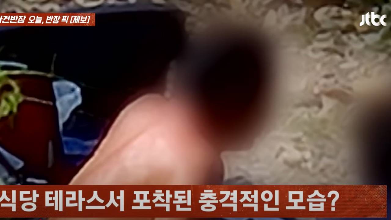 "손님이 보고 비명 질러" 식당 하천서 알몸 낚시한 중년 남성