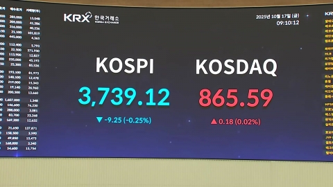 \'4천피\' 보인다?…새역사 쓰는 코스피 개장 상황