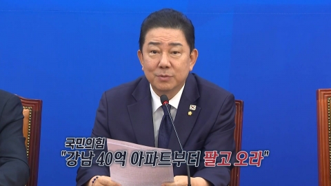 "13년 실거주하다 이사" VS "그게 민주당이 말한 투기" [앵커리포트]
