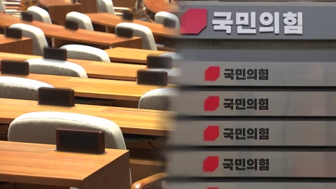 특검 수사 맞물린 정당 해산 심판…청구 가능성은?