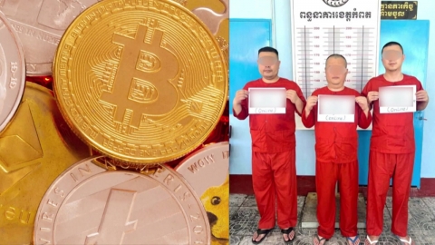 캄보디아 범죄조직 금융제재 추진…가상자산도 점검
