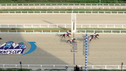 국산 최고 말 가리자...대통령배 대상경주