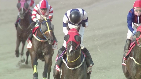 [주간 경마] 스피드영, 글로벌히트 꺾고 대통령배 우승