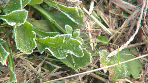 [날씨] 서울 4.8℃, 경기 북부 첫 영하권…낮 기온 10℃ 이상 \'쑥\'