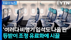 "등받이 젖히려면 돈 내라"...캐나다 항공사 좌석 재설계에 비판 봇물 [지금이뉴스] 