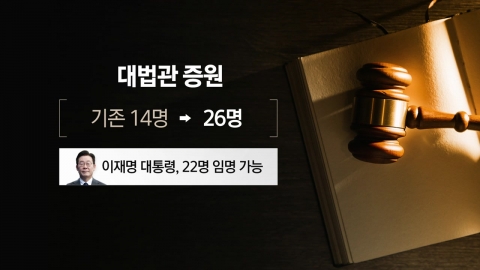 대법관 증원..."사법부 신뢰회복" vs "이재명 구하기" [앵커리포트]