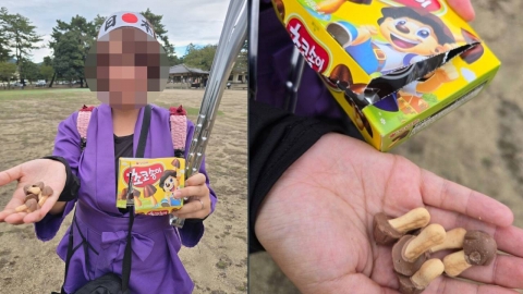 "한국인이 사슴 학대" 주장한 日 시의원 아내, 오히려 역풍 맞아