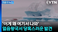 곤충학자 \'깜짝\'...아이슬란드서 전례 없는 일 발생 [지금이뉴스]