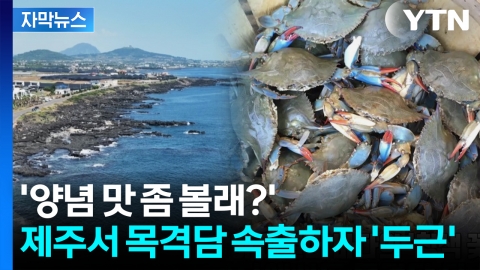 [자막뉴스] "맛있으면 토종이다"...낯선 밥도둑 등장에 대환영