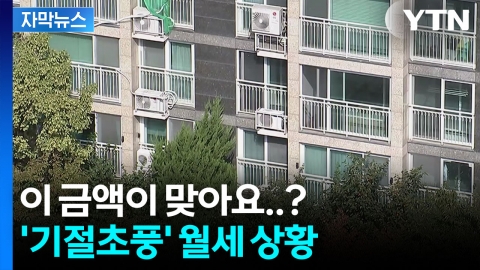 [자막뉴스] '전세' 씨 마르자 월세로 내몰리는 세입자들...내년 더 심각해질 듯